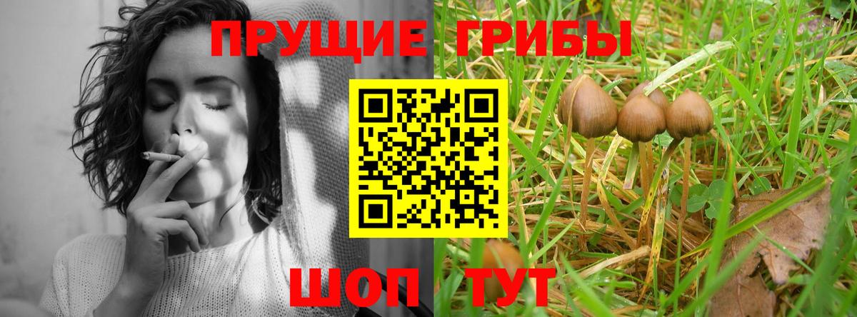 Минусинск  Галлюциногенные грибы мицелий  Вход с VPN 
